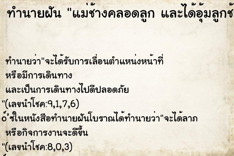 ทำนายฝันแม่ช้างคลอดลูกและได้อุ้มลูกช้าง ทำนายฝันทำนายฝันแม่ช้างคลอดลูกและได้อุ้มลูกช้าง